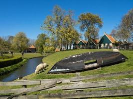 enkhuizen in the netherlands photo