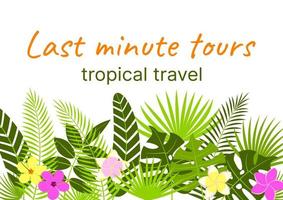 banner tropical con hojas de monstera, plátano y palma, plumeria y fondo de flores de hibisco vector