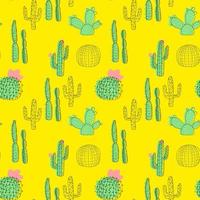 seamless pattern with cactus on a white background in cartoon style.Vector illustration vector