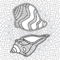 shell coloring page design with mandala background vector