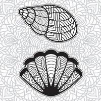 shell coloring page design with mandala background vector