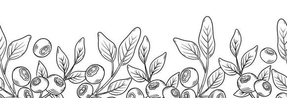 Vector seamless border with blueberries. Blueberry berries with twigs of leaves in a hand-drawn style. Botanical illustration with berries, black line sketch