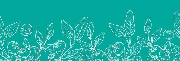 Vector seamless border with blueberries. Blueberry berries with twigs of leaves in a hand-drawn style. Botanical illustration with berries, black line sketch