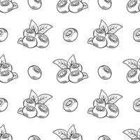 Vector pattern with blueberries. Blueberry berries with twigs of leaves in a hand-drawn style. A sketch with a black line, a collection of berries on a white background. Botanical illustration