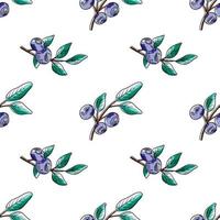 Vector watercolor pattern with blueberries. Blueberry berries with twigs of leaves in a hand-drawn style. Botanical illustration with berries, black line sketch