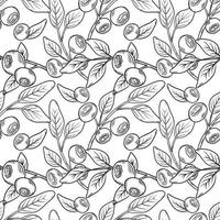 Vector pattern with blueberries. Blueberry berries with twigs of leaves in a hand-drawn style. A sketch with a black line, a collection of berries on a white background. Botanical illustration