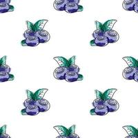 Vector watercolor pattern with blueberries. Blueberry berries with twigs of leaves in a hand-drawn style. Botanical illustration with berries, black line sketch