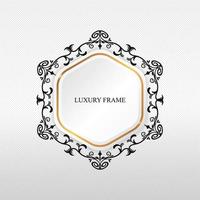 elegant black and white hexagon frame vector