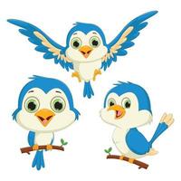 set of cute blue bird cartoon. vector illustration