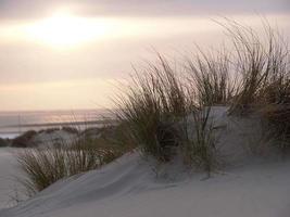 Borkum island in germany photo