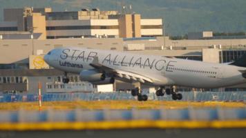 frankfurt am main, alemanha 21 de julho de 2017 - airbus 340 lufthansa star Alliance libré se aproximando antes de pousar em fraport, frankfurt. conceito de turismo e viagens video