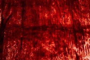 Red background, Scary bloody wall. white wall with blood splatter for halloween background. photo