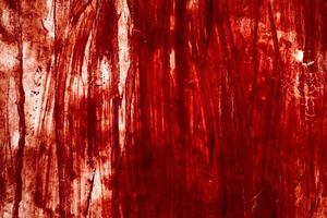 Red background, Scary bloody wall. white wall with blood splatter for halloween background. photo