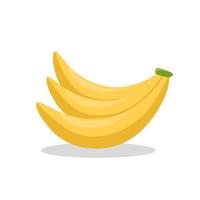 Illustration of a banana fruit. Banana fruit icon, fruits vector