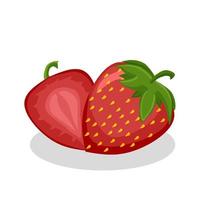 ilustración de fruta de fresa. icono de fruta de fresa. frutas vector