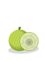 Breadfruit illustration image.Breadfruit icon.Fruits. Carbohydrate vector