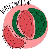 Ripe and colorful watermelon in trendy doodle style vector