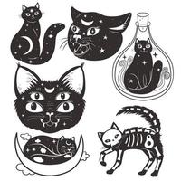 Set of esoteric cats isolated on a white background. Vector graphics.
