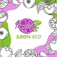 The mangosteen template is drawn with elements of a sketch-style doodle. Whole mangosteen, parts, leaves, slices, core. Collection of fruit images. Vector illustration with space for text