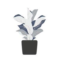 Decorative plants illustration vector