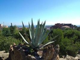 The city of Barcelona in Spain photo