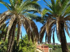 The city of Barcelona in Spain photo