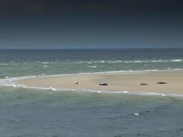 isla borkum en alemania foto