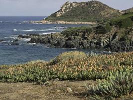 corsica island in the mediterranean sea photo