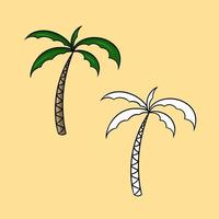 un conjunto de imágenes, una palmera alta con hojas verdes, una ilustración de dibujos animados vectoriales en un fondo de color vector