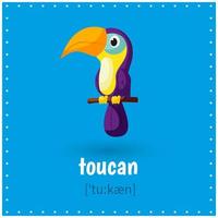 Learning cards for kids education. Learn word with transcription. Toucan. Bird. Educational worksheets for kids. Preschool activity vector