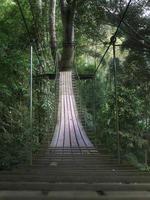 Flying gibbons adventure crossing over hanging bridge in the tropical jungle thailand photo