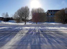 Shadow of trees branches on ground covered with white snow and sunlight in the background photo