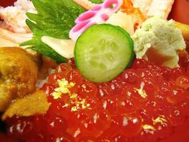color vibrante de primer plano de huevas de salmón frescas, huevos de erizo de mar, relleno de carne de cangrejo en sashimi de arroz japonés don con pepino, jengibre y wasabi foto