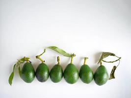 close-up fresh six 6 avocados in row with white background photo