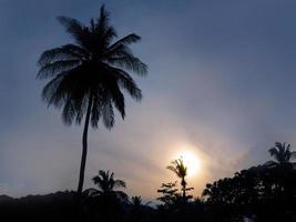 silhoulette of coconuts tree, blue sky, with sunlight for background photo