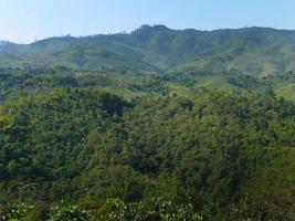 paisaje de montañas verdes de selva tropical para papel tapiz foto