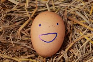 Emotion of fresh eggs  on a straw. photo