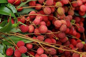 Lychees Fresh fruit a lot of them are sold for sale in the market. photo