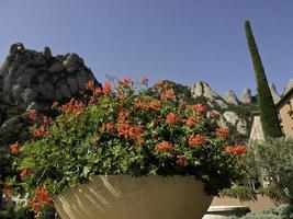 the convent of montserrat photo