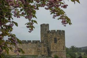 newcastle and tynemouth in england photo