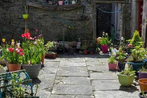 Lerwick and the shetland islands photo