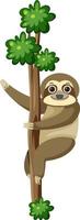 Sloth climbing on tree isolated vector