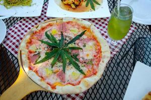 Pizza a mixture ofcannabis leaves, developed for health lovers in a new, licensed and legal form. Guaranteed safety, help relieve anxiety, reduce sadness. Concept Cannabis for health. photo