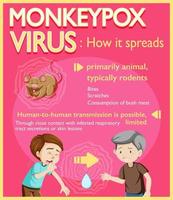 Monkeypox virus symptoms infographic vector