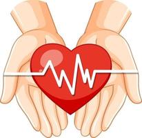 Heart on human hands vector