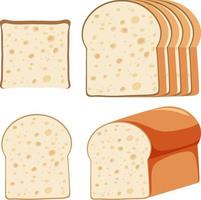 Set of different breads vector