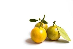 Cerró de naranja kumquat que colocó sobre fondo blanco. foto