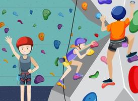 Indoor rock climbing gym vector