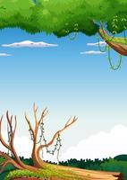Nature scene with trees and blue sky vector