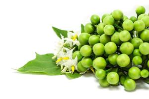 berenjenas de guisantes sobre fondo blanco foto